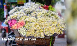 Hà Nội mười hai mùa hoa nở
